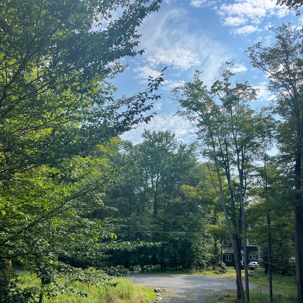 Meet your Posher, Esther